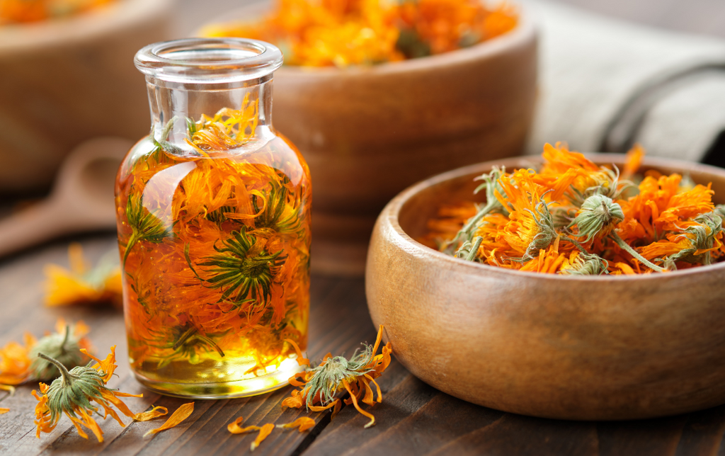 Calendula flowers infusing in oil, showcasing the process of creating herbal-infused oils for natural skincare.