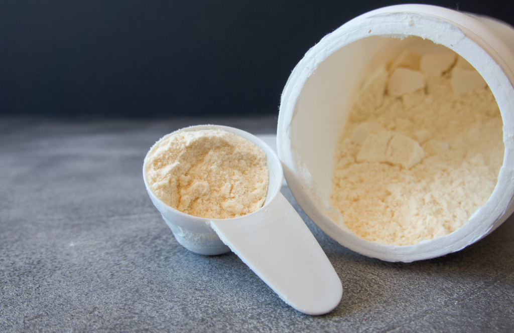 Scoop of nutrient-rich bovine colostrum powder showcasing its benefits for skin health and rejuvenation.