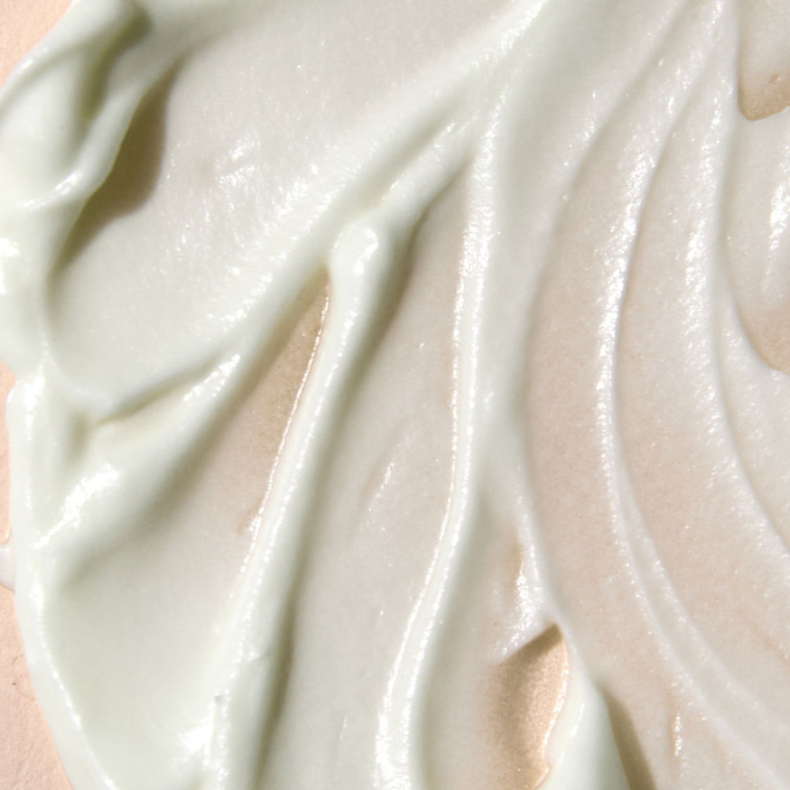Untitled_design-42_2b2bf9c7-9369-4d5b-9253-d33c43e7d192.png
